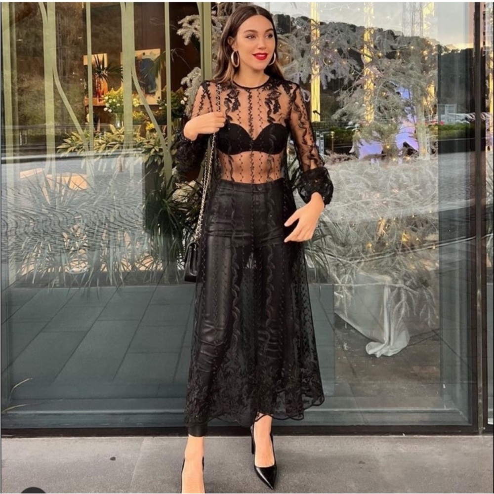 Zara embroidered semi sheer dress